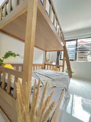 chung-cu-mini-tai-ngo-242-lang-do-anhomes-quan-quan-ly