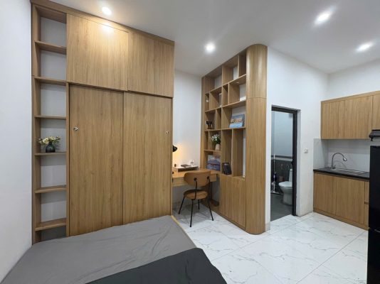 chung-cu-mini-do-anhomes-quan-ly