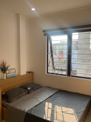 c5ca4a9396chung-cu-mini-tai-phu-do-do-anhomes-quan-ly