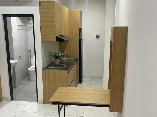 chung-cu-mini-do-anhomes-quan-ly