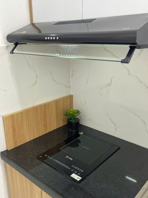 chung-cu-mini-ơ-ngo-376-thuy-khue-do-anhomes-quan-ly