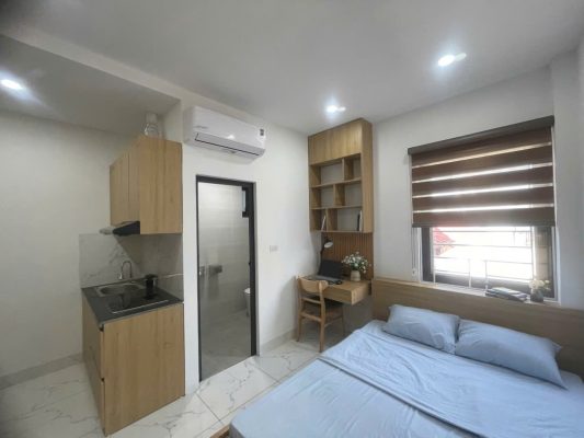 chung-cu-mini-do-anhomes-quan-ly